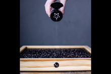 Load image into Gallery viewer, Chladni Plate Sand